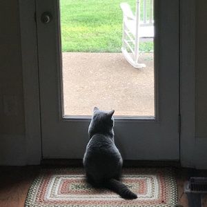 Meet your Posher, Nate